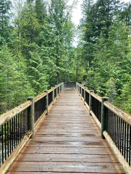 Wooden Bridge Along Trail of the Cedars in Glacier National Park, Montana, USA stock photo