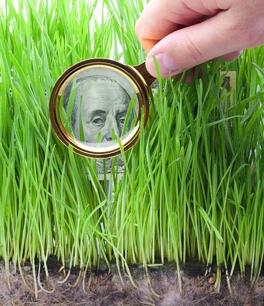 istock Magnifying glass focused on a cash bill in the grass 131988592
