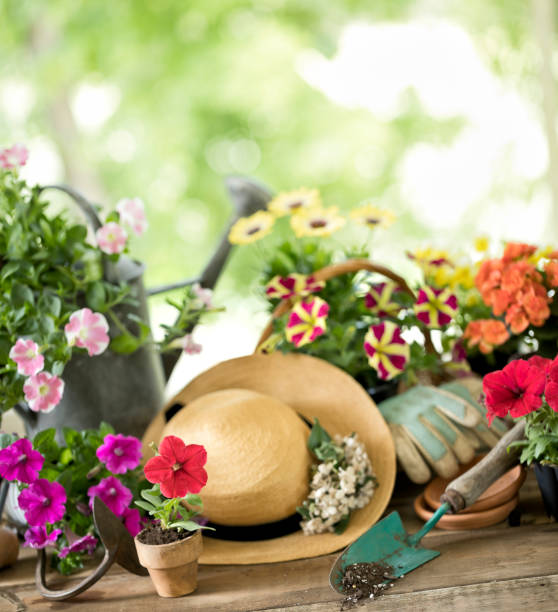 garden tools and spring flowers background - perennial selective focus vertical tilt imagens e fotografias de stock