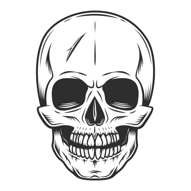 ilustrações, clipart, desenhos animados e ícones de modelo de tatuagem de crânio humano vintage assustador em estilo monocromático ilustração vetorial isolada - skull