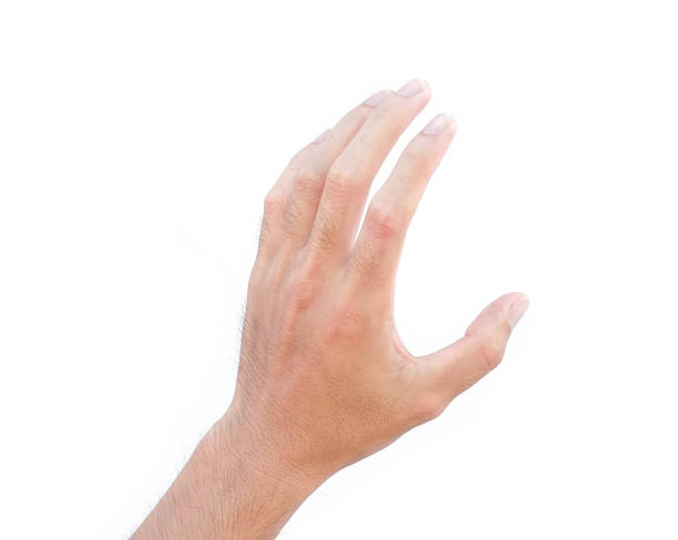 istock Man hands holding something on white background for product advertising concept 1319896507