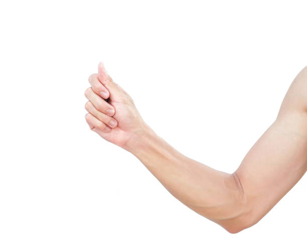 istock Man hands holding something on white background for product advertising concept 1319896563