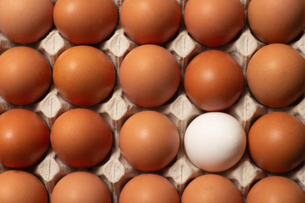 istock Chicken brown and white fresh raw eggs in a carton container. Ingredients for cooking. Concept for healthy eating. Selective focus. 1319899409