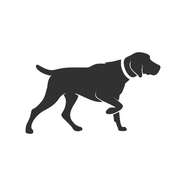 czarno-biały wektor sylwetki psa - white background side view dog boxer stock illustrations