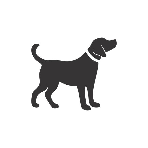 ilustrações, clipart, desenhos animados e ícones de vetor de silhueta de cachorro preto e branco - boxer side view dog white background