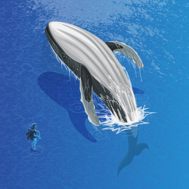 istock Isometric illustration of humpback whale with water spirit 1319907490
