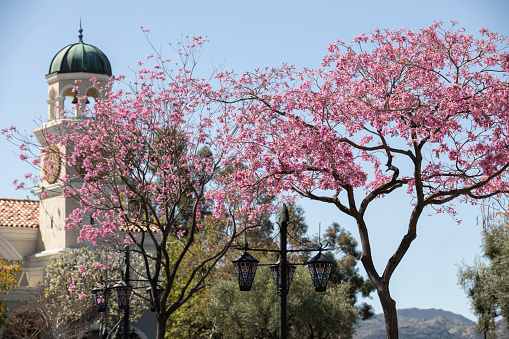 Springtime view of the historic downtown area of Thousand Oaks, California, USA.