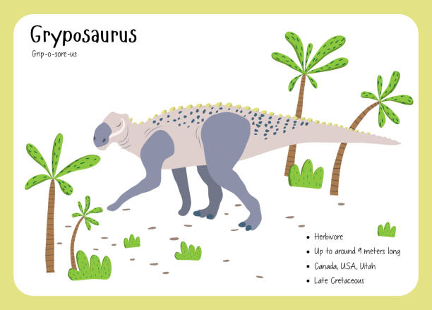 공룡 팩트 플래시 카드 - 영어 알파벳에 해당하는 공룡 이름. 귀여운 다채로운 벡터 일러스트. 허비보 세트. 공룡 채식주의자. 그리포사우루스 - abstract learning education ancient stock illustrations