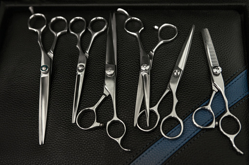 Stylish Professional Barber Scissors