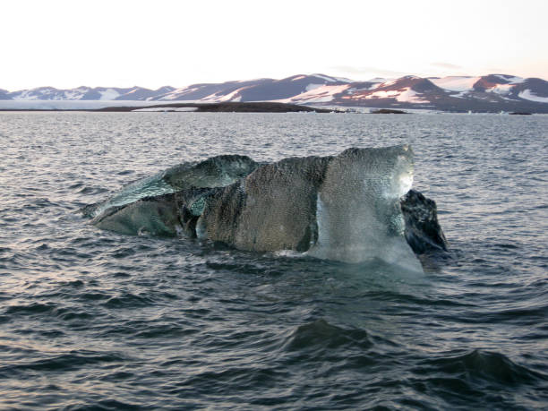 topnienie lodu słodko-wodnego na morzu arktycznym, topniejącym lodzie arktycznym, wyspach svalbard, norwegii, lodzie i skale, żeglarstwie, łamaniu się lodu morskiego wiosną. globalne ocieplenie, zmiany klimatu - svalbard islands zdjęcia i obrazy z banku zdjęć