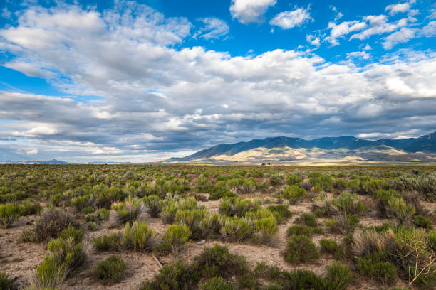 istock blue sky cloudy and desert landscape 1319914015