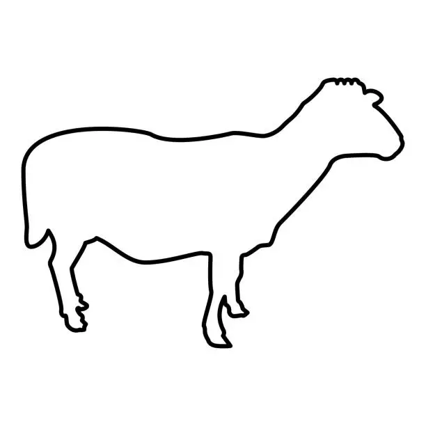 Vector illustration of Sheep Ewe Domestic livestock Farm animal cloven hoofed Lamb cattle contour outline black color vector illustration flat style image