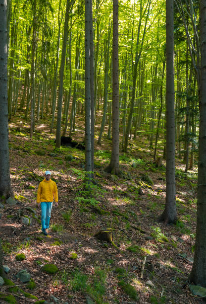 istock Aeirial view young caucasian man from front walking on spring beech forest. Czech landscape 1319918999