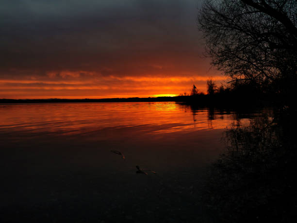 orange glow of sun during sunset over a lake with trees