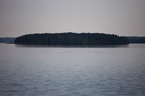 istock Small island covered among the lake 1319923805