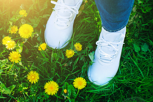 Girl in white sneakers stand near the Yellow dandelions in the green spring grass. Sunny summer day. Relax and travel concept.