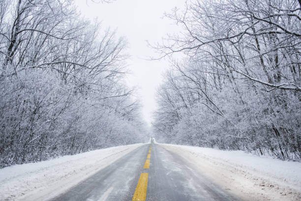 istock winter road in the forest 1319928312