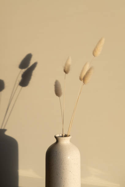 istock Dried bunny tail grass in vase on sunset. Shadows on the wall. Minimal boho style home decor. 1319928639