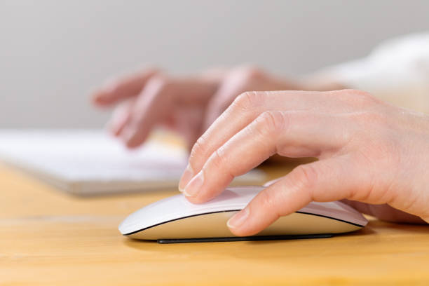 istock Close-up of young female hands pressing keyboard buttons and using a mouse. 1319929894