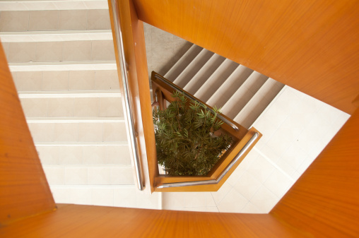 stairway in building with tree