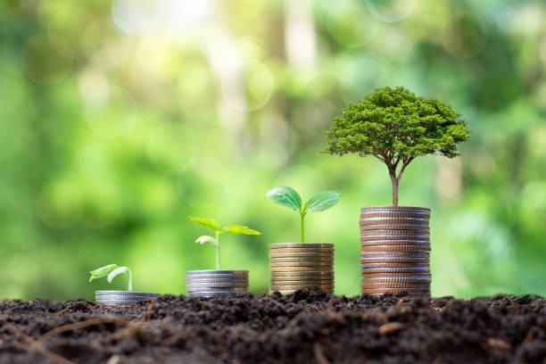 istock Planting and developing trees on coin pile as well as green nature background blur the concept of financial and economic growth. 1319930309