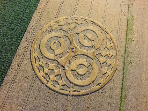 Crop Circle in cornfield near Rasiting Crop circle in a cornfield at Rasiting, Upper Bavaria, Bavaria, Germany, Europe crop circle stock pictures, royalty-free photos & images
