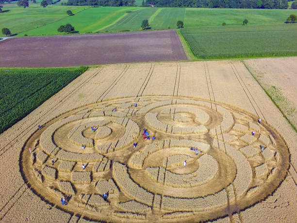 istock Crop Circle in cornfield near Rasiting 1319931607