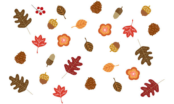 ilustrações de stock, clip art, desenhos animados e ícones de background material for autumn leaves and nuts - bolota ilustrações