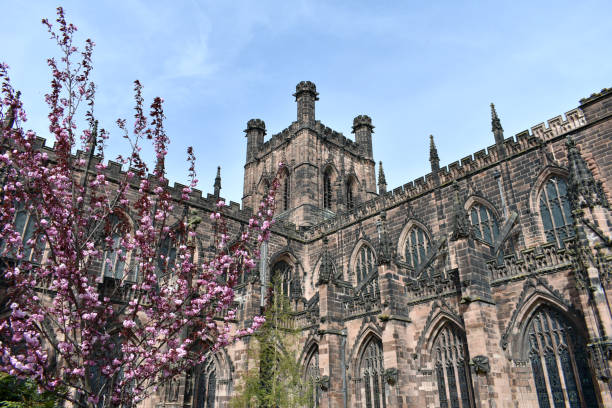 벚꽃나무로 체스터 대성당 을 닫습니다. - chester england church cathedral tower 뉴스 사진 이미지