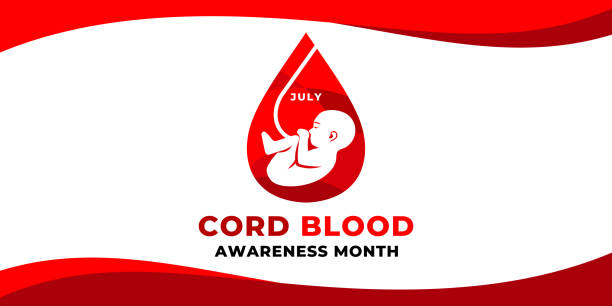 Cord Blood awareness month. Vector web banner, poster, card for social media, networks with text July, Cord Blood awareness month. A drop of blood, umbilical cord, new-born baby on white background. Cord Blood awareness month. Vector web banner, poster, card for social media, networks with text July, Cord Blood awareness month. A drop of blood, umbilical cord, new-born baby on white background blood wallpaper stock illustrations