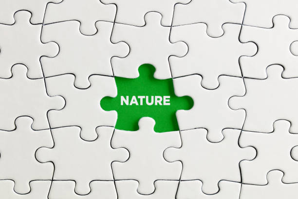 istock Green missing puzzle piece with the word nature. Environmentalism, destroying the nature 1319940181