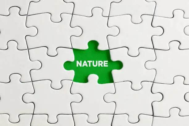 Photo of Green missing puzzle piece with the word nature. Environmentalism, destroying the nature