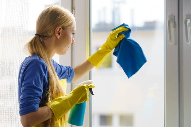 istock Woman cleaning window at home 1319941045