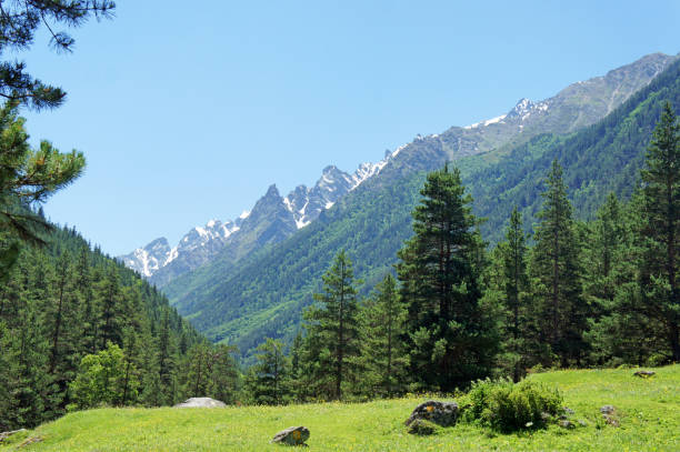 istock Sunny valley in Caucasus mountains in summer 1319942128