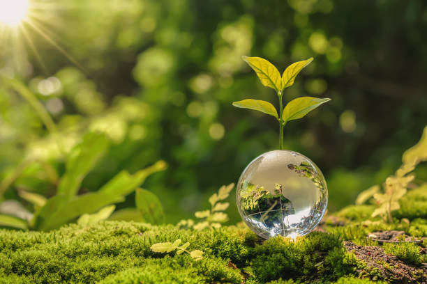 istock lass globe ball with tree growing and green nature blur background. eco earth day concept 1319943573