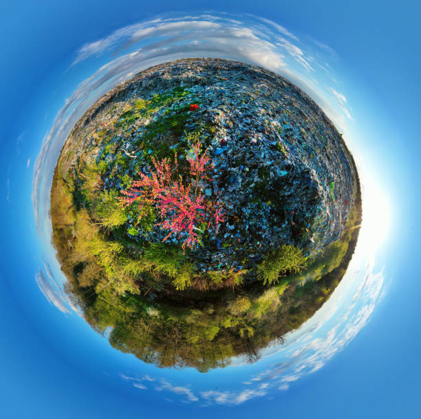 istock landfill in the forest and sakura 1319943980