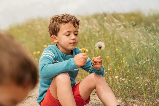 Boy blowing a dandelion