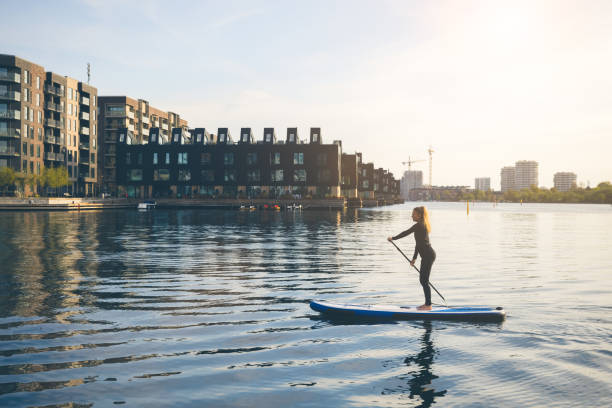 istock Female SUP paddle-boarding in ocean 1319950662