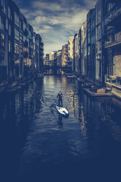 istock Female SUP paddle-boarding in ocean 1319951271