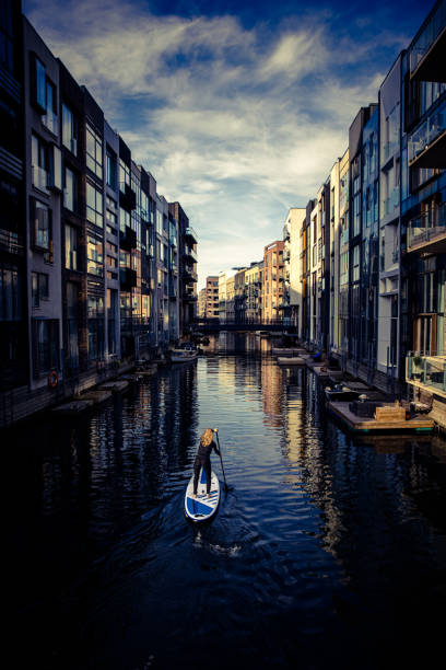 istock Female SUP paddle-boarding in ocean 1319951284