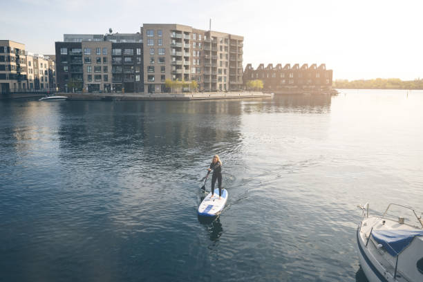 istock Female SUP paddle-boarding in ocean 1319951298