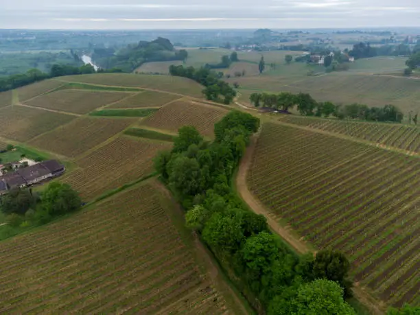 Aerial wiev Fronsac Vineyard landscape, Vineyard south west of France, Europe. High quality photo