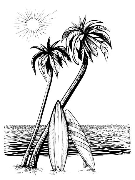 Surf beach, vector drawing. Surfboards under palms. Surf beach, vector drawing. Surfboards under palm trees, vintage illustration. drawing of the hawaii islands stock illustrations