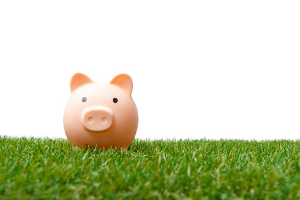 Coin bank sitting on grass with copy space