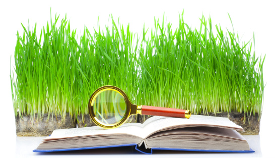 Open book with grass, sun and clouds on white background
