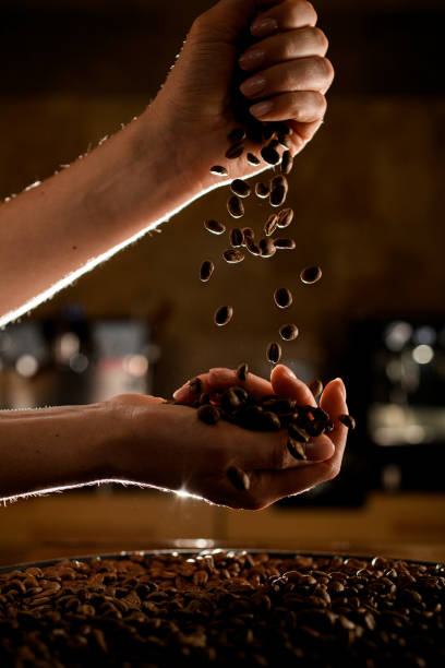 widok kobiecych rąk z ziarenami kawy, które wylewają się z jednej na drugą rękę - selective focus coffee coffee crop cafe zdjęcia i obrazy z banku zdjęć