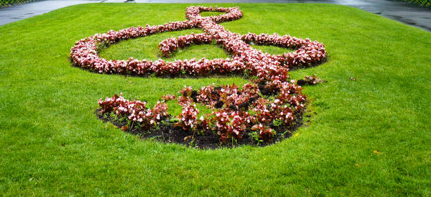 Beautifully designed flower bed