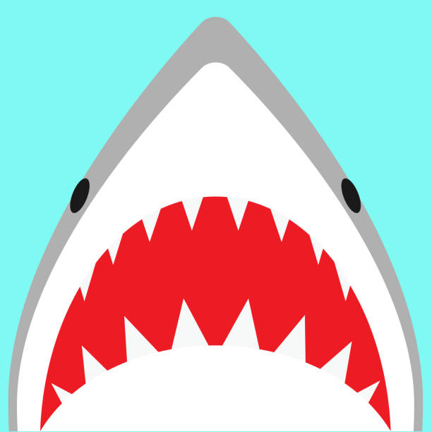 ilustraciones, imágenes clip art, dibujos animados e iconos de stock de ilustración del ataque de tiburón kawaii - dientes de animal