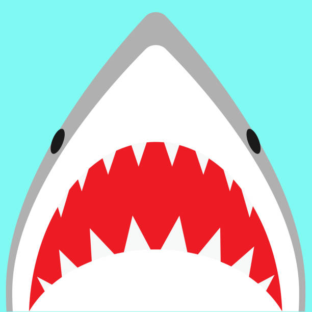 illustrations, cliparts, dessins animés et icônes de illustration d’attaque de requin de kawaii - color image colored background nautical vessel sea