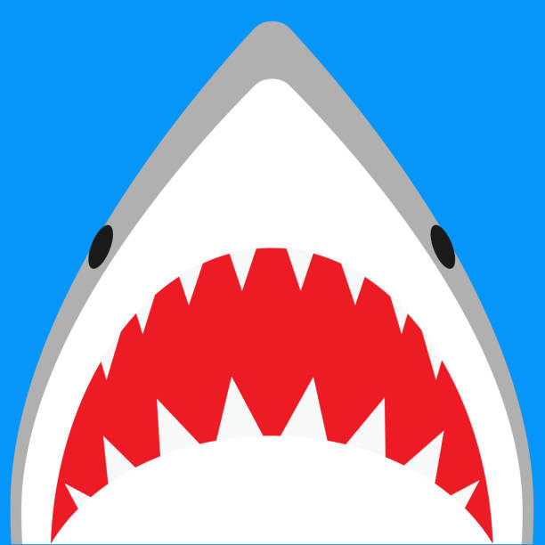 stockillustraties, clipart, cartoons en iconen met de illustratie van de haaiaanval van kawaii - toy shark